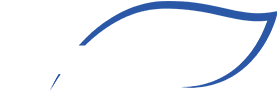 A black and blue logo for digi wise.